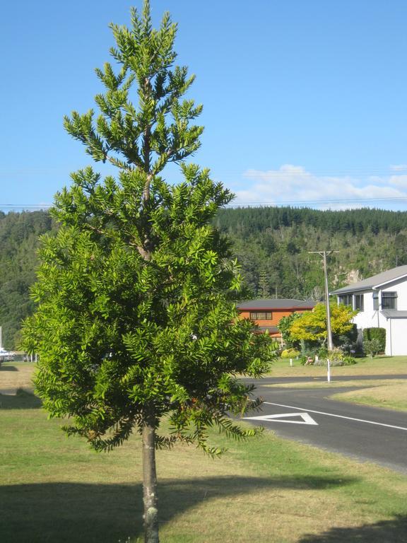 Addsbury House Apartman Whangamata Kültér fotó